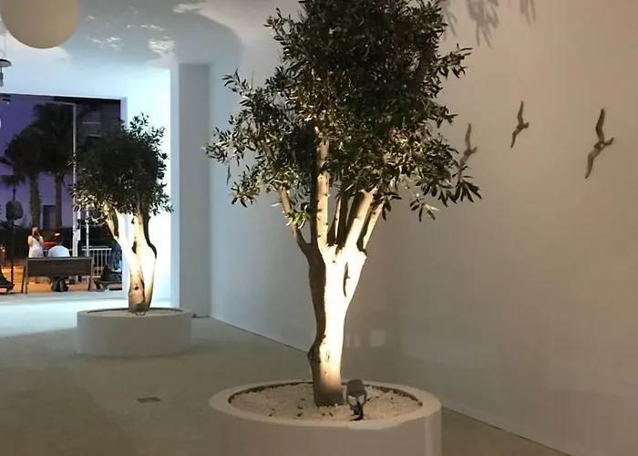 Abacus Couette-café 4*