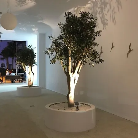 Abacus Couette-café 4*